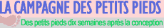 Dès sa conception, l'enfant a le droit à la vie. L'avortement direct, c'est-à-dire voulu comme une fin ou comme un moyen, est une pratique infãme gravement contraire à la loi morale. L'Eglise sanctionne d'une peine canonique d'excommunication ce délit contre la vie humaine. La vie humaine doit être respectée et protégée de manière absolue depuis le moment de la conception. Dès le premier moment de son existence, l'être humain doit se voir reconnaître les droits de la personne, parmi lesquels le droit inviolable de tout être innocent à la vie. Puisqu'il doit être traité copmme une personne dès sa conception, l'embryon doit être défendu dans son intégrité, soigné et guéri comme tout autre être humain. - L'euthanasie volontaire, quels qu'en soient le formes et les motifs, constitue un meurtre. Elle est gravement contraire à la dignité de la personne humaine et au respect du DIeu vivant, son Créateur.
